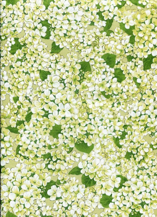 Flowers hydrangeas on green