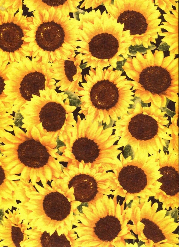 Flowers sunflowers