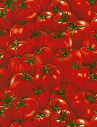 Food Tomatoes-Food-C6440-Red