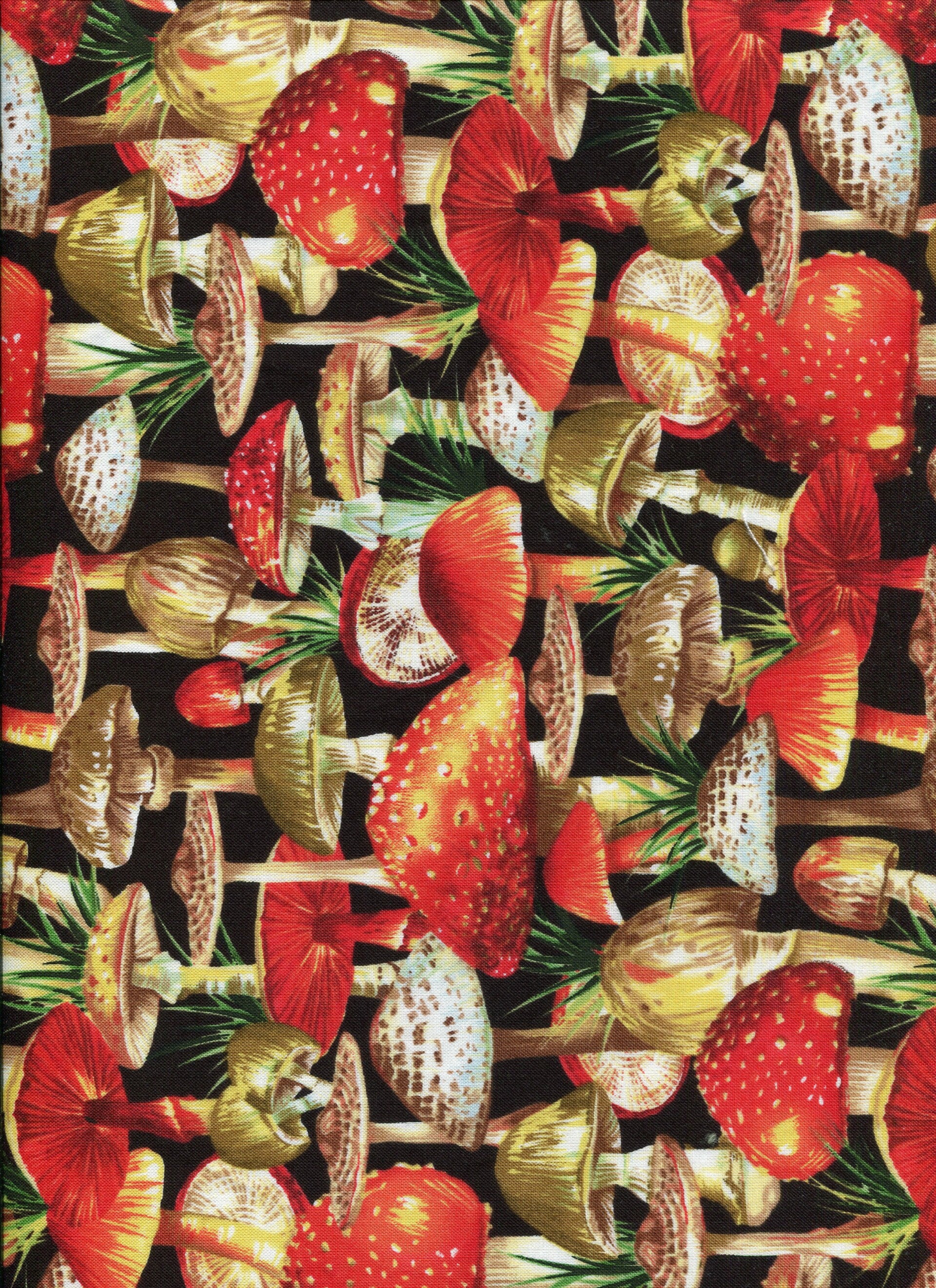 Nature nat C 40x 110 cm