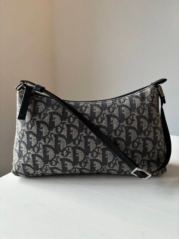 Dior monogram trotter