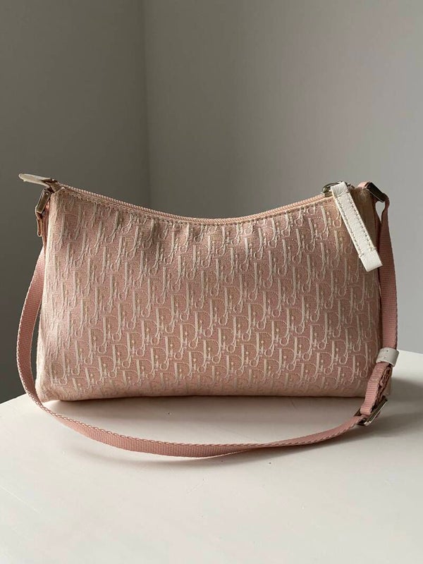 Dior monogram trotter
