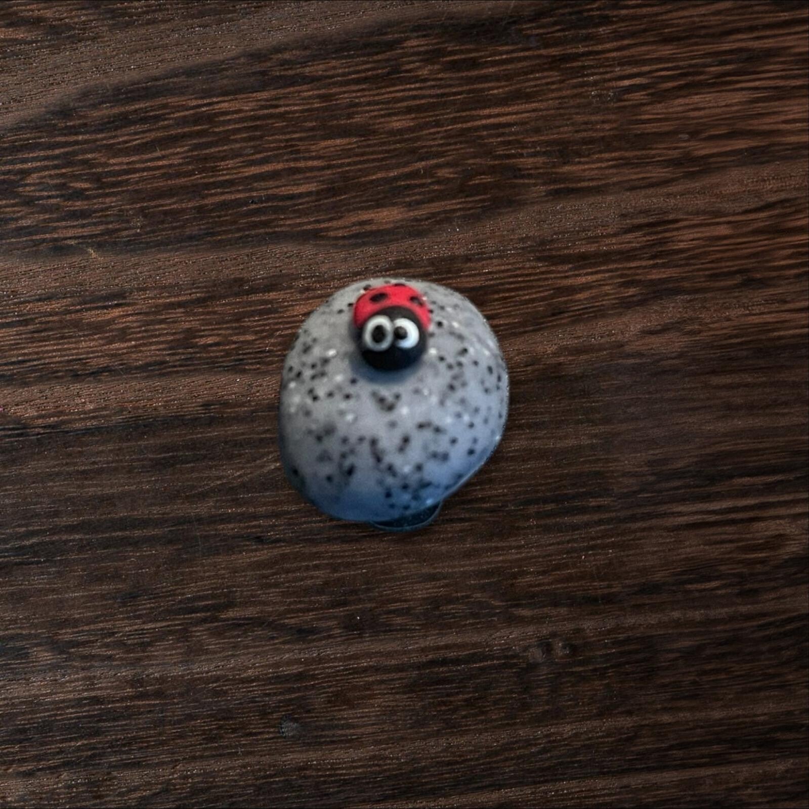 Magnet Mini Glückskäfer