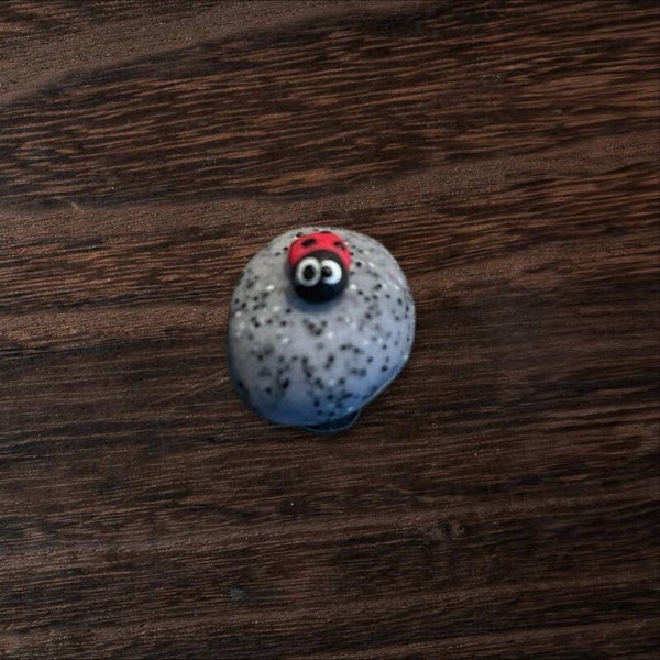 Magnet Mini Glückskäfer