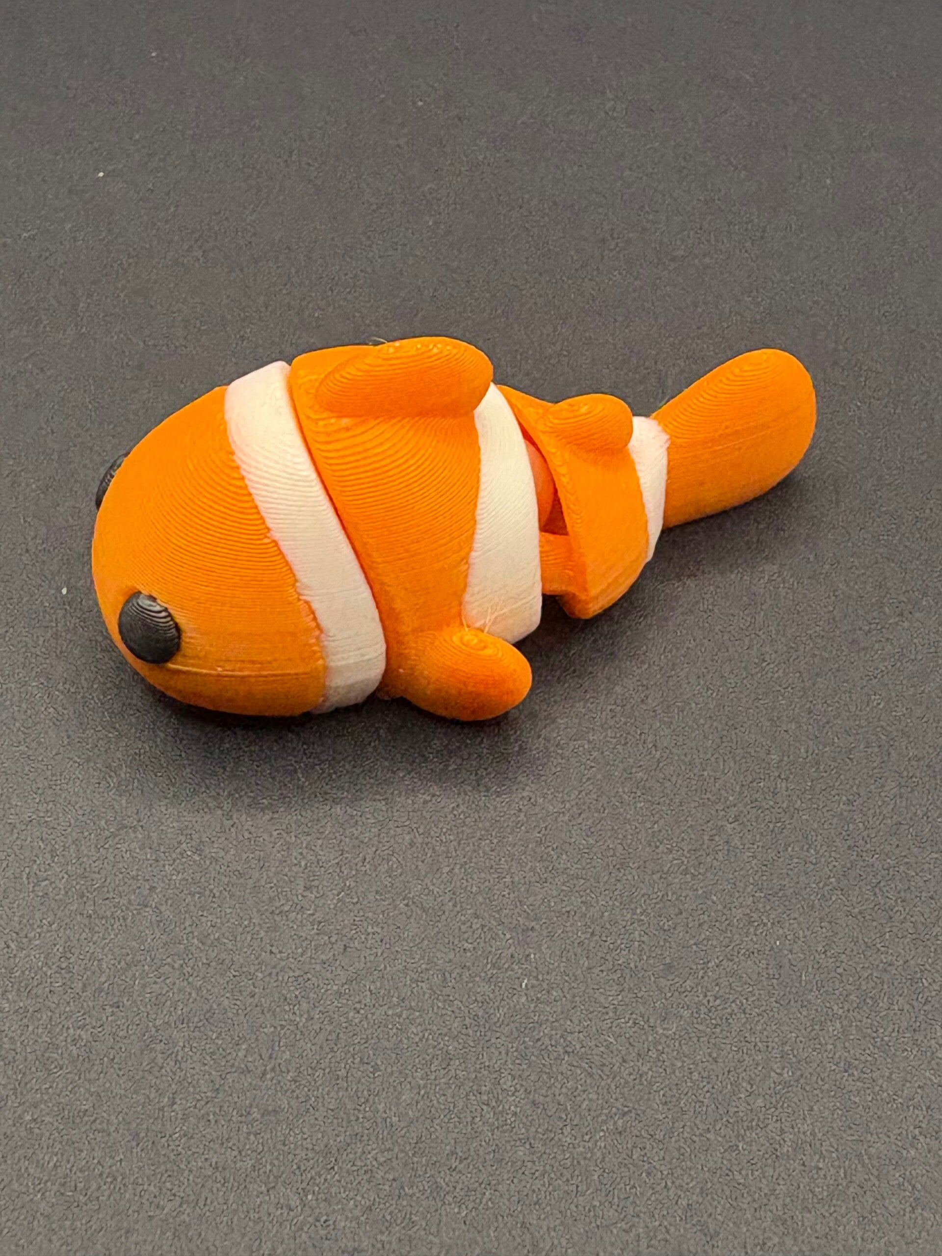 Clown Fish