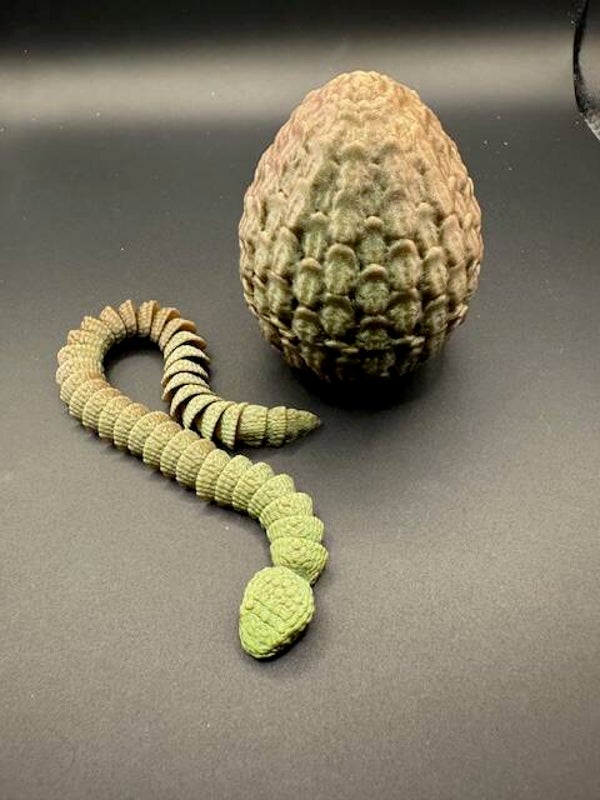 Snake Egg with Snake
