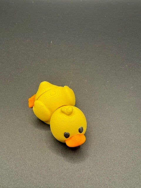 Duck