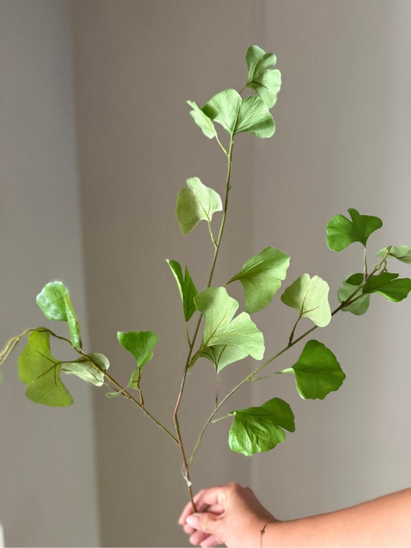 Ginko tak
