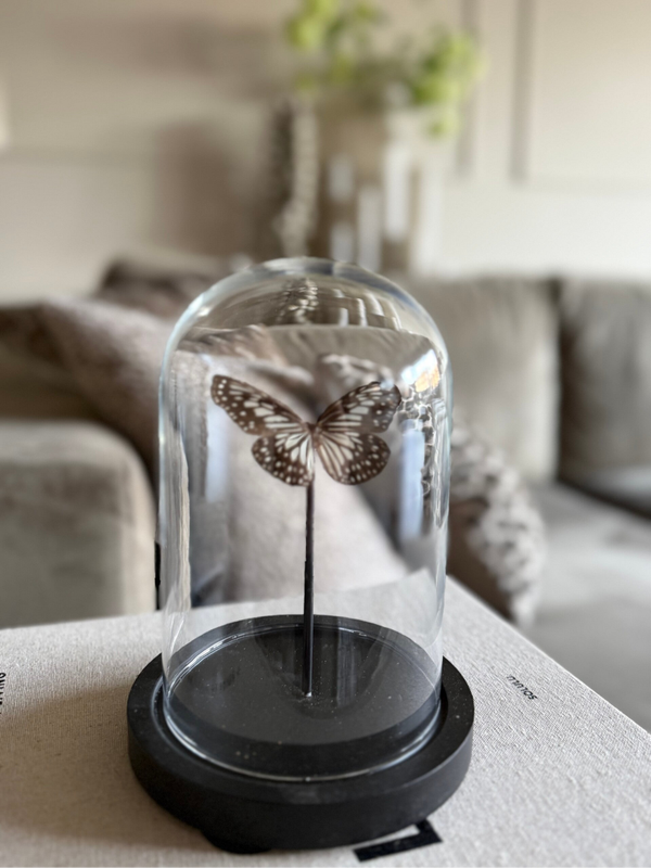 Mini Vlinderstolp Bruin