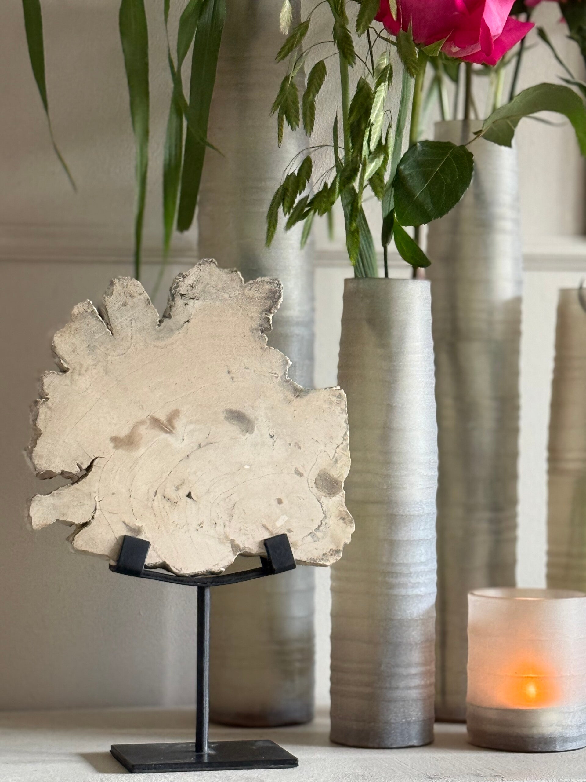 Versteend hout Beige