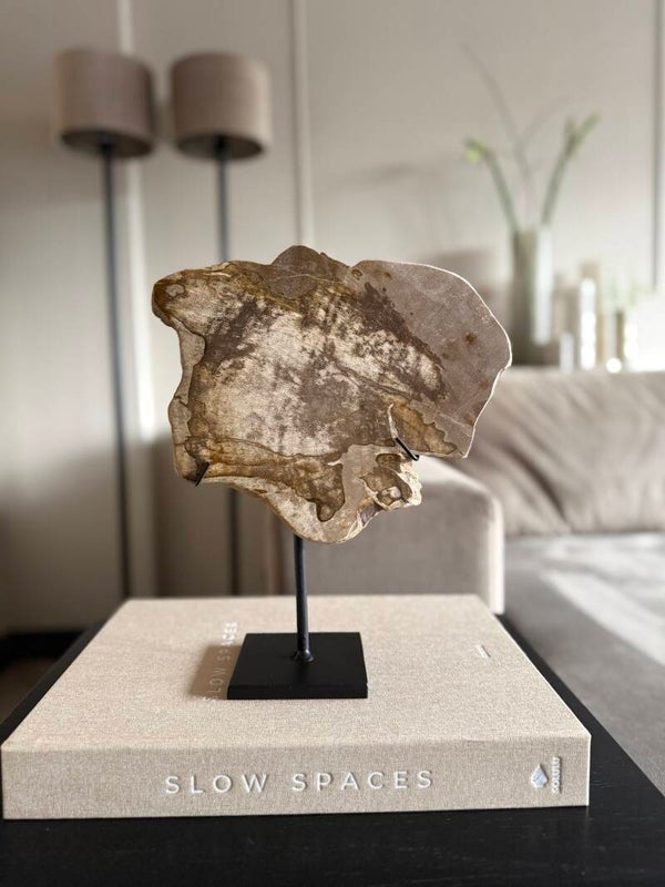 Versteend hout op statief