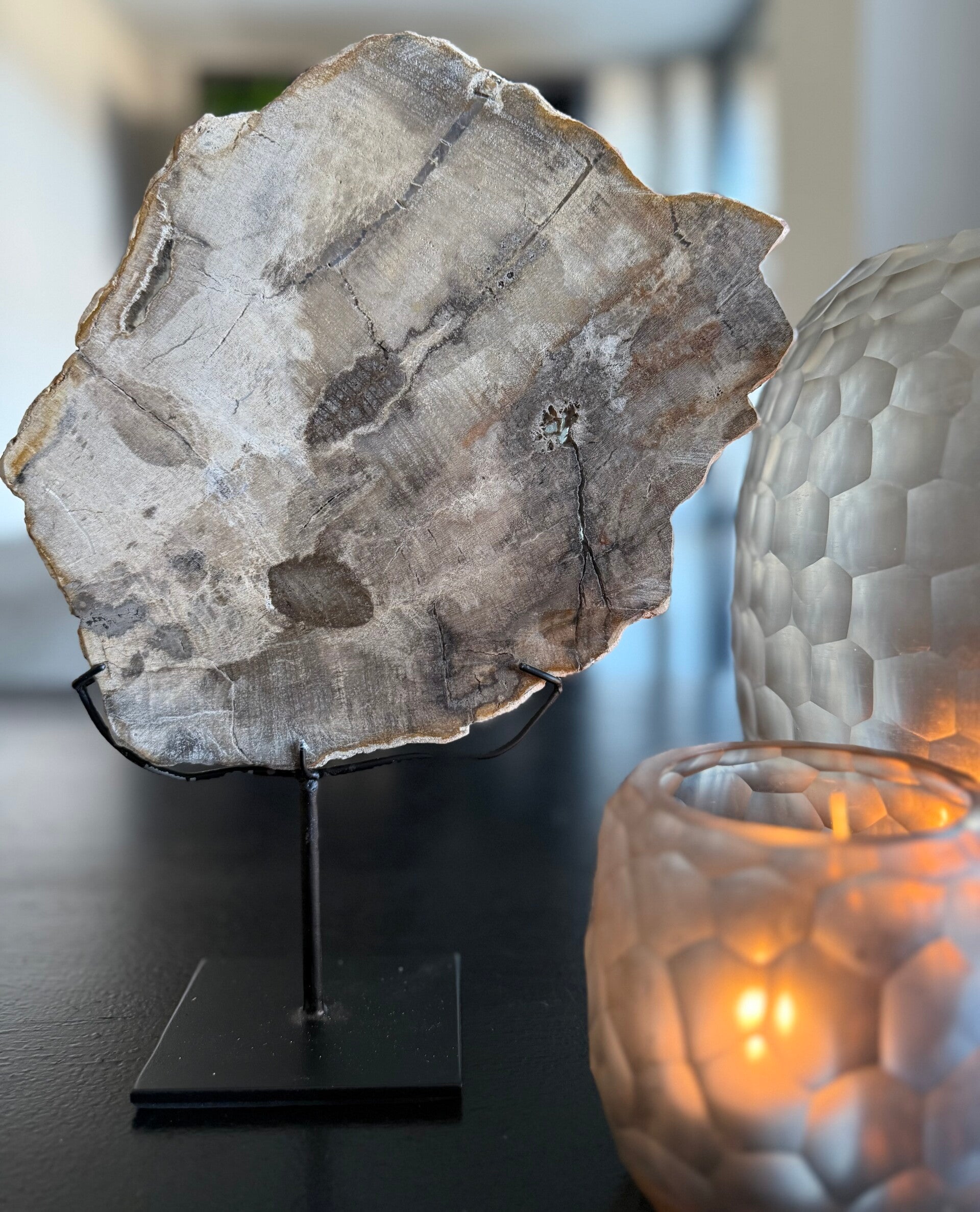 Versteend hout op statief