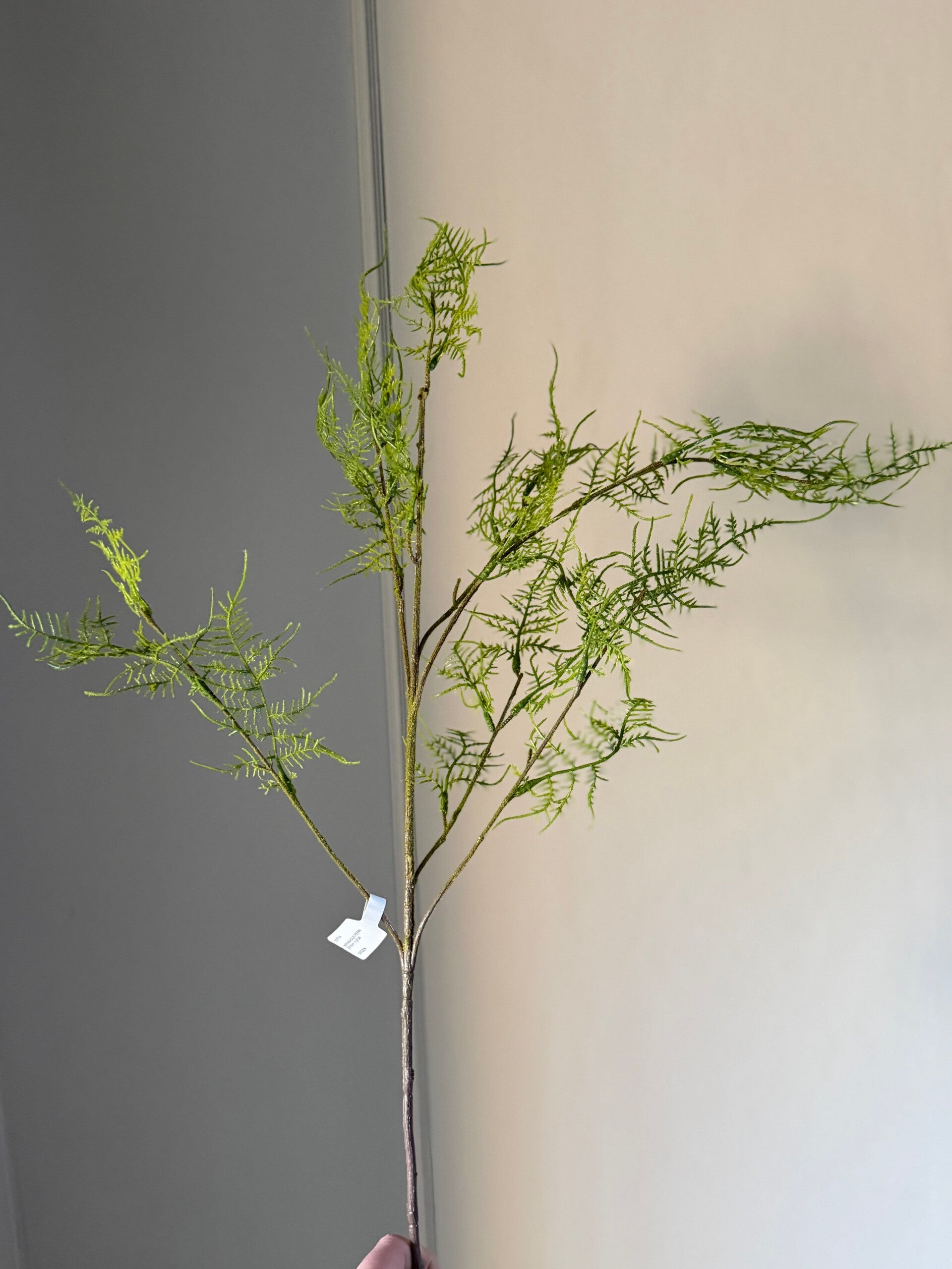 Kunst tak Asparagus Fern Spray