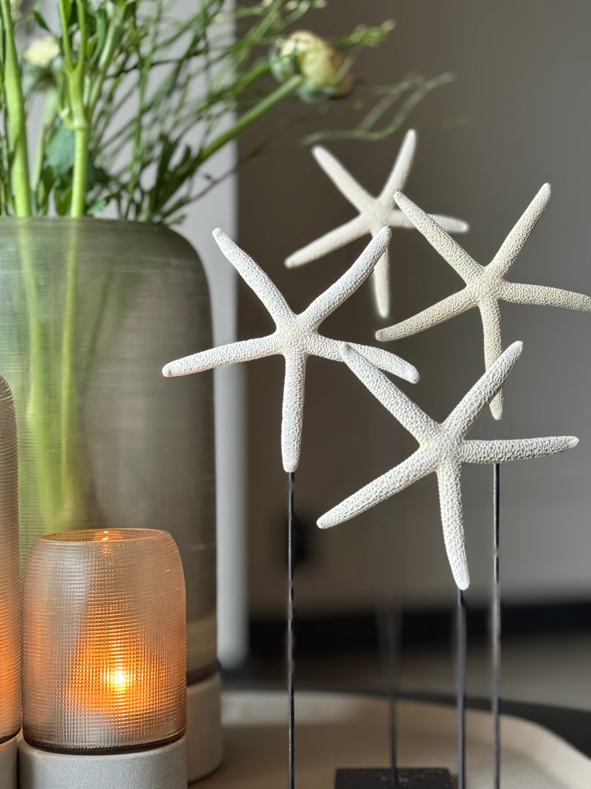 Zeester op standaard