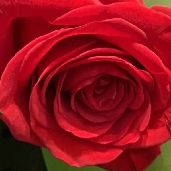 Mediumship Reading for Two Special.....Each reading is an individual reading