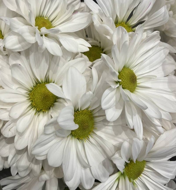 Mediumship Reading for One