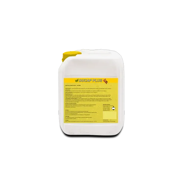 Ducap Plus 5L – Herbal-Cinnamon Gut Health Blend