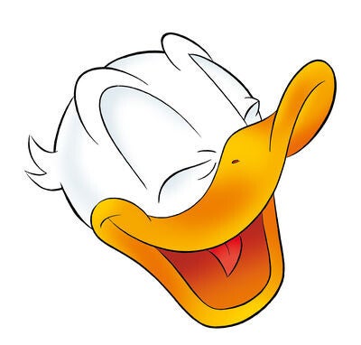 Dubbelpocket 22 t/m 26 – complete rugtekening