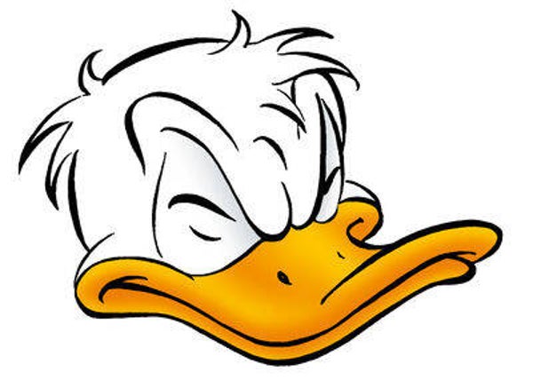 Dubbelpocket 37 t/m 41 – complete rugtekening