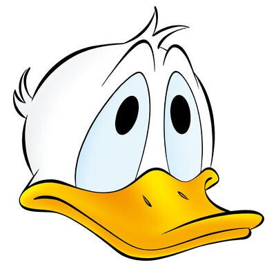 Dubbelpocket 42 t/m 46 – complete rugtekening