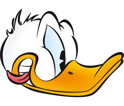 Dubbelpocket 47 t/m 51 – complete rugtekening