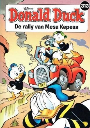 313. De rally van Mesa Kepesa