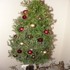dsc05909-standard.jpg