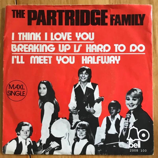 Partridge Family: I think I love you (maxi single)