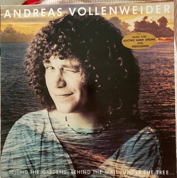 Andreas Vollenweider-Behond the Gardens