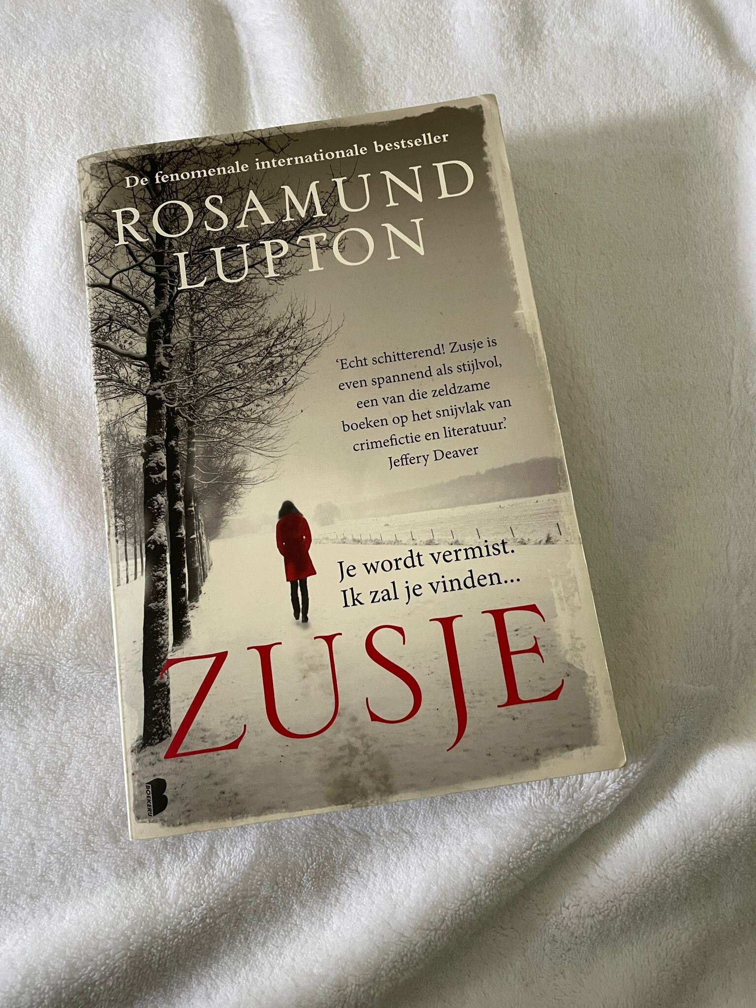 Rosamund Lupton: Zusje