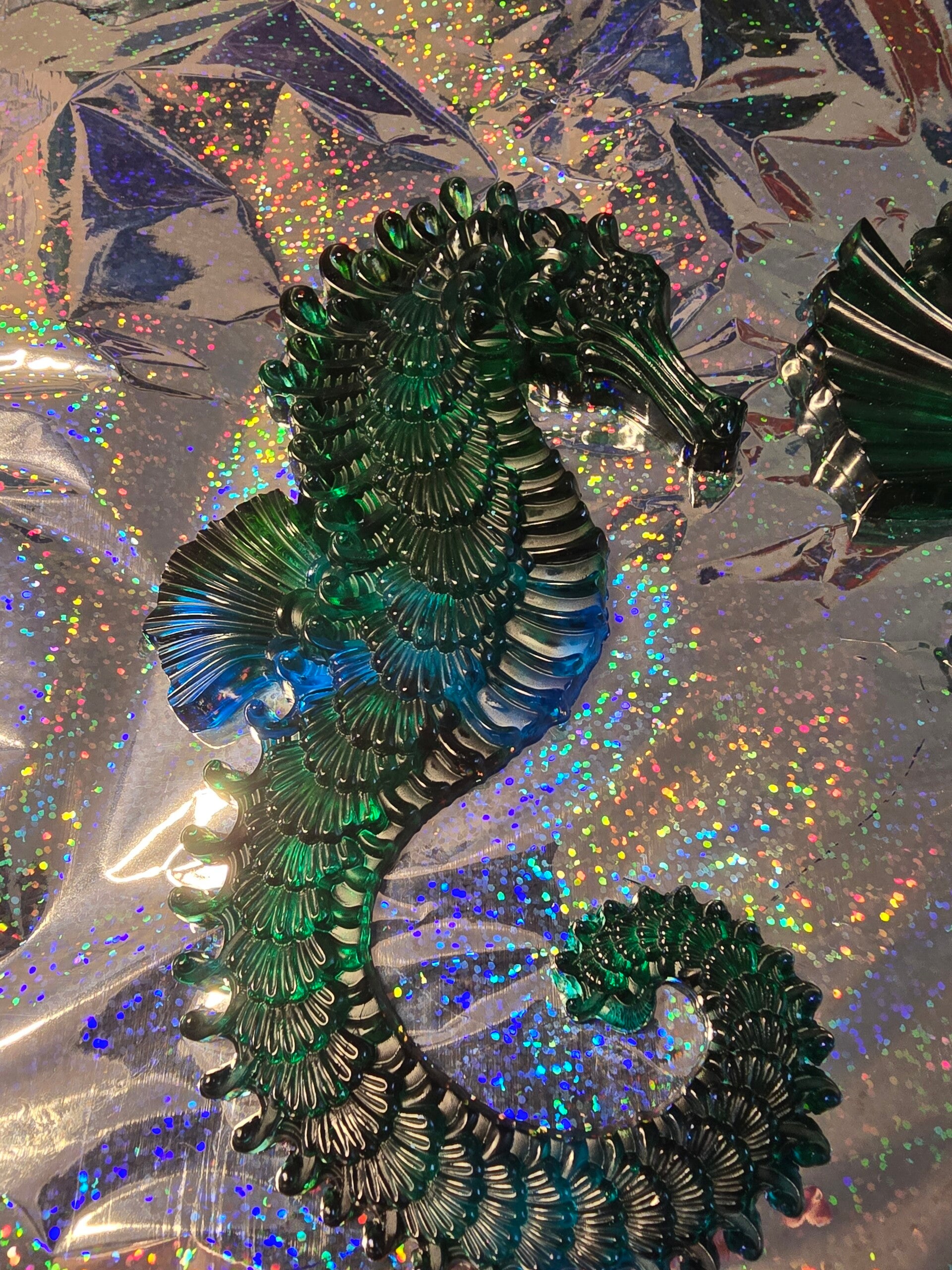 Seahorses