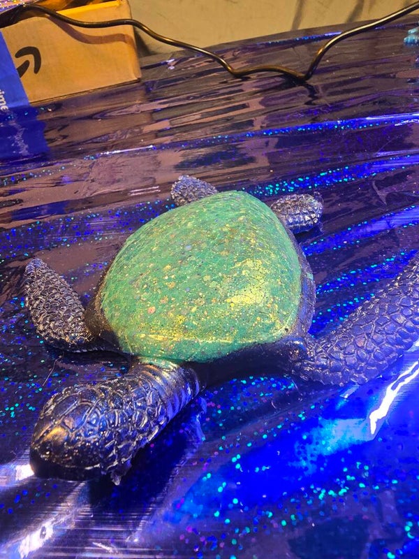 Small sea turtles