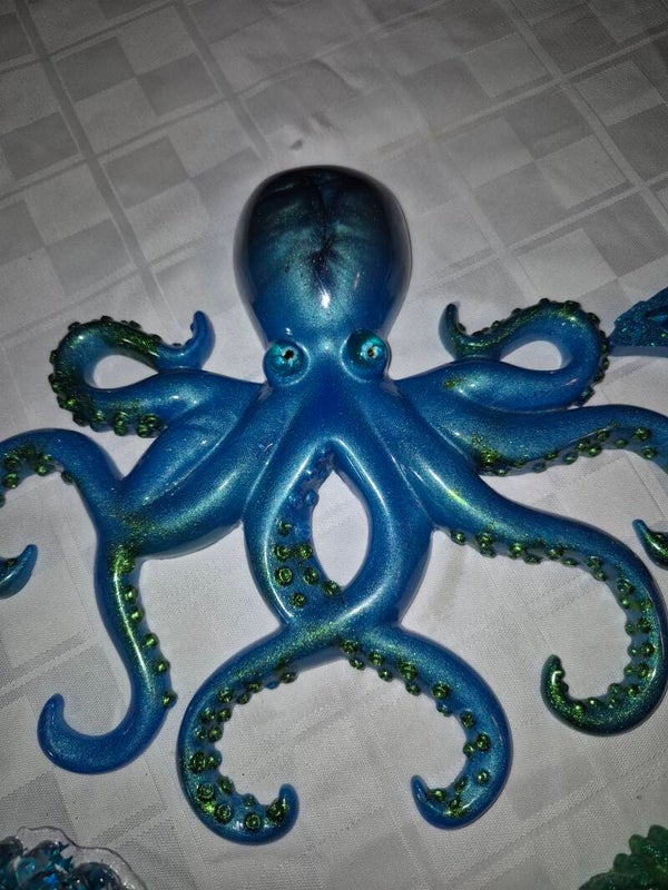 Large octopus