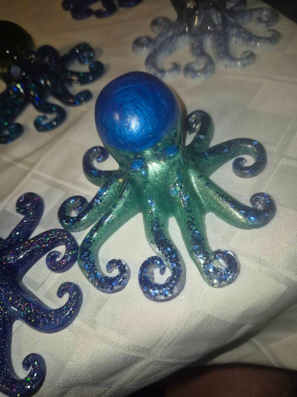 Adorable little octopus