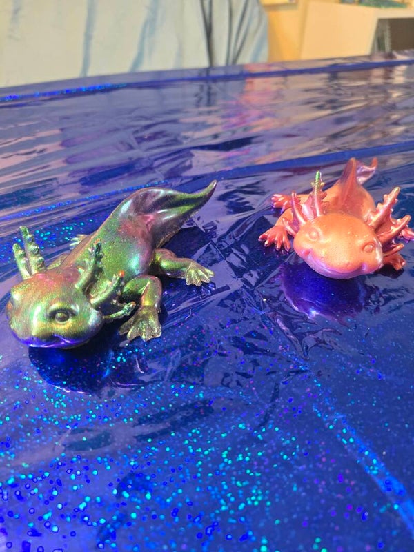 Adorable axolotl's