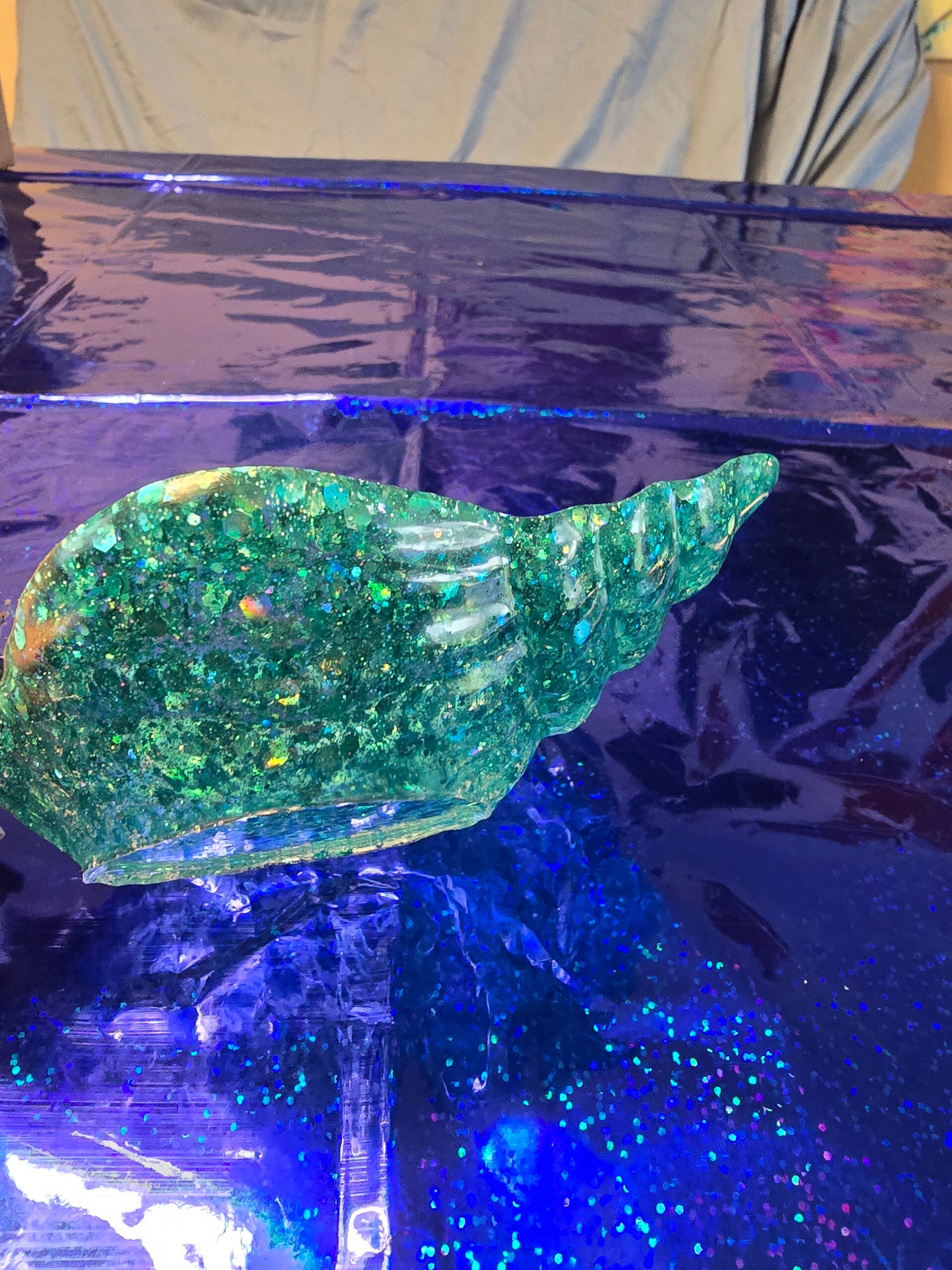 Large conch shell dish