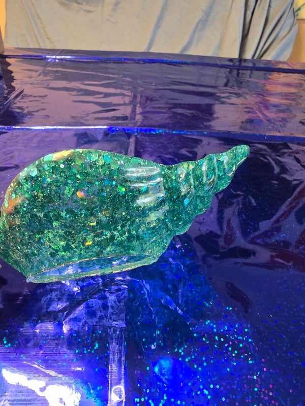 Large conch shell dish