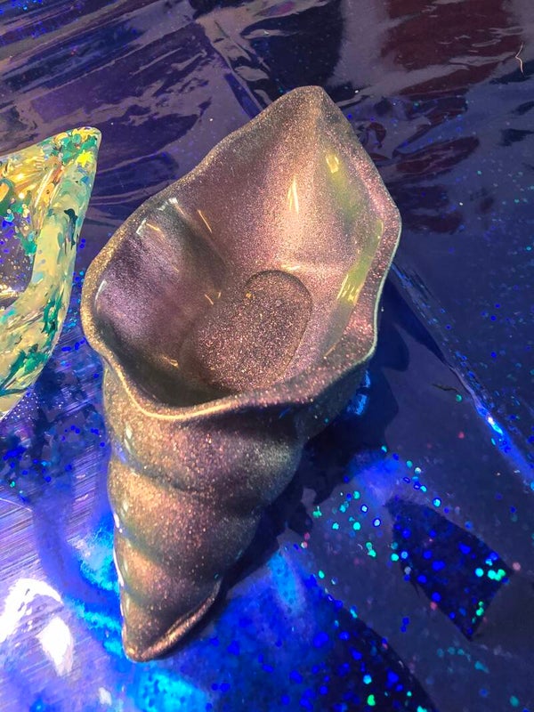 Small conch shell dishes