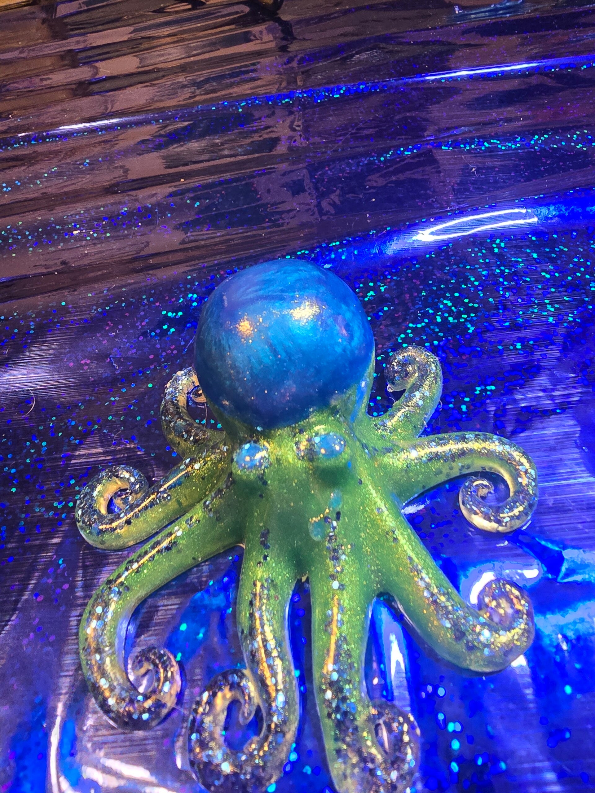 Small octopus