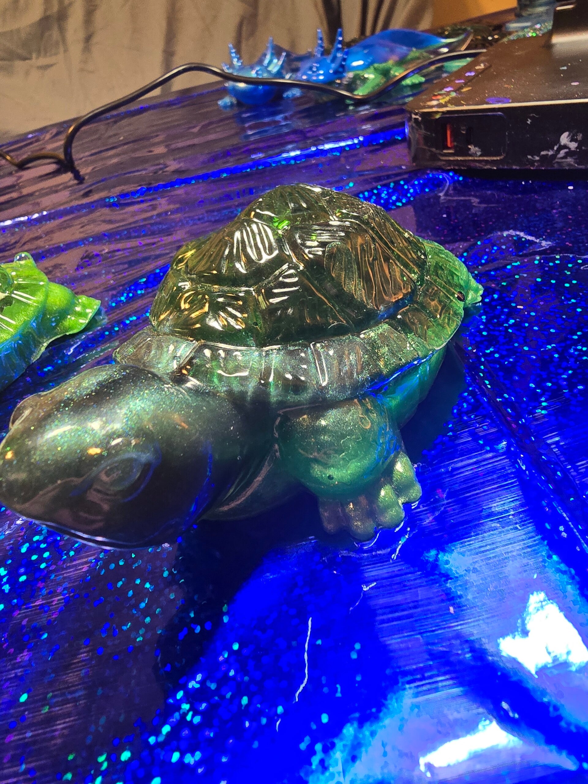 Tortoises