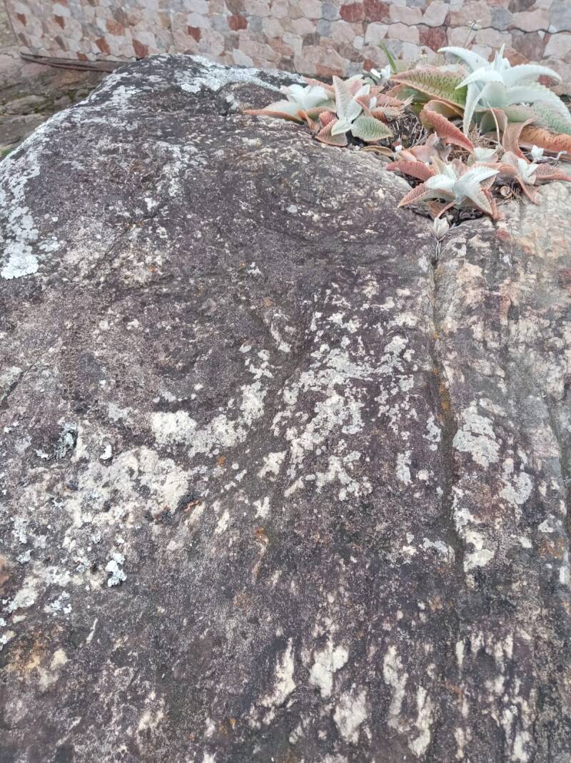 Petroglifo Espiral Vereda Águila Baja