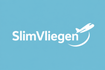 slimvliegen