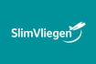 slimvliegen