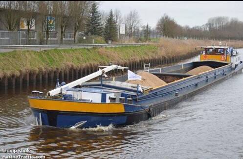 the-an-1-4-standard.jpg