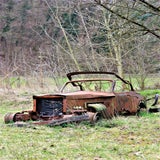 IMG_62132.jpg