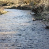 IMG_5922.jpg