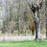 IMG_6291-kopie.jpg