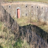 IMG_6005.jpg