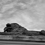 DSC_0074.jpg