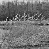 IMG_65812.jpg